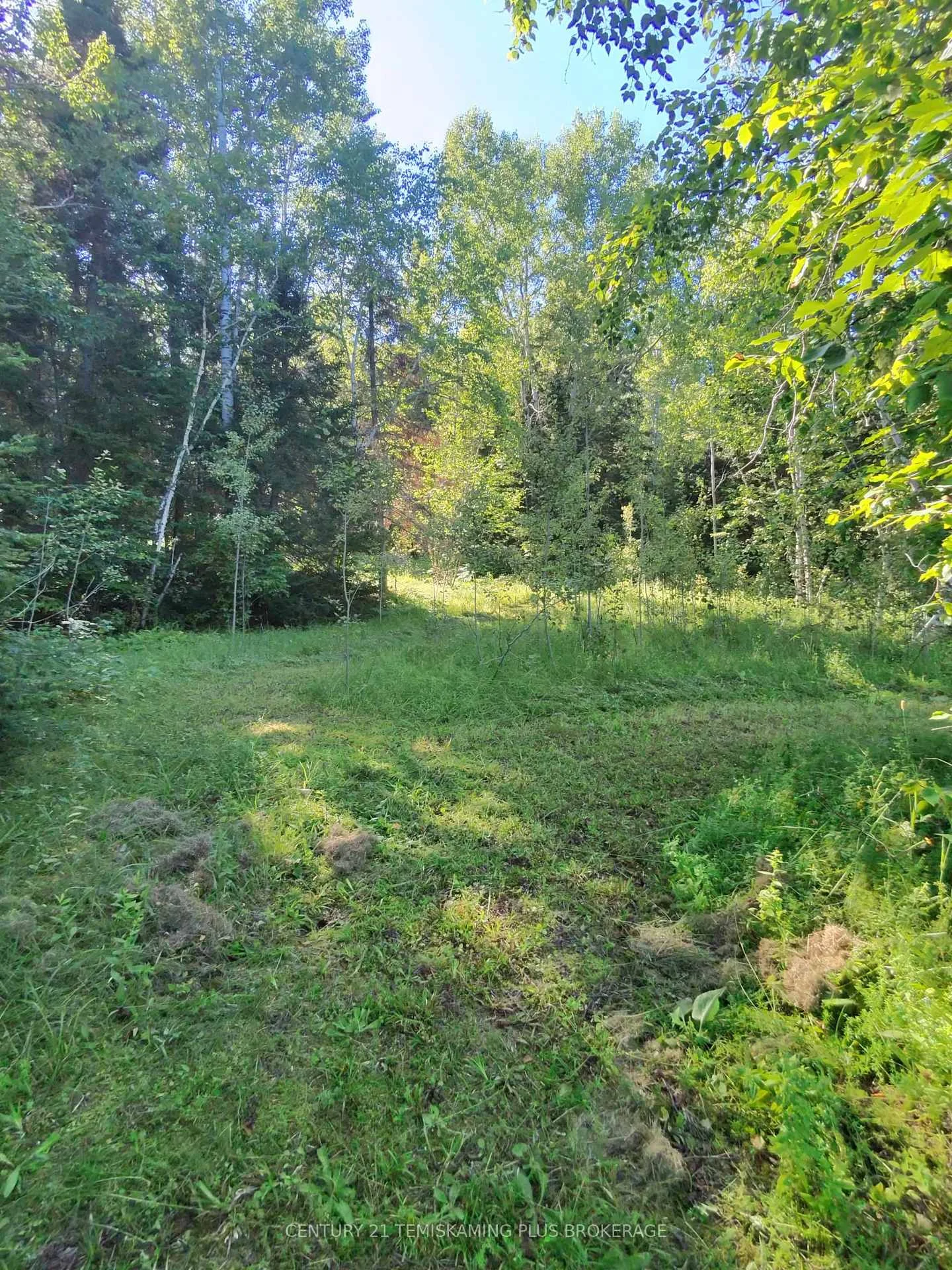 Photo 46 of Con 7 Highway 567, Timiskaming, TIM - Outside - Rural — HOMEH