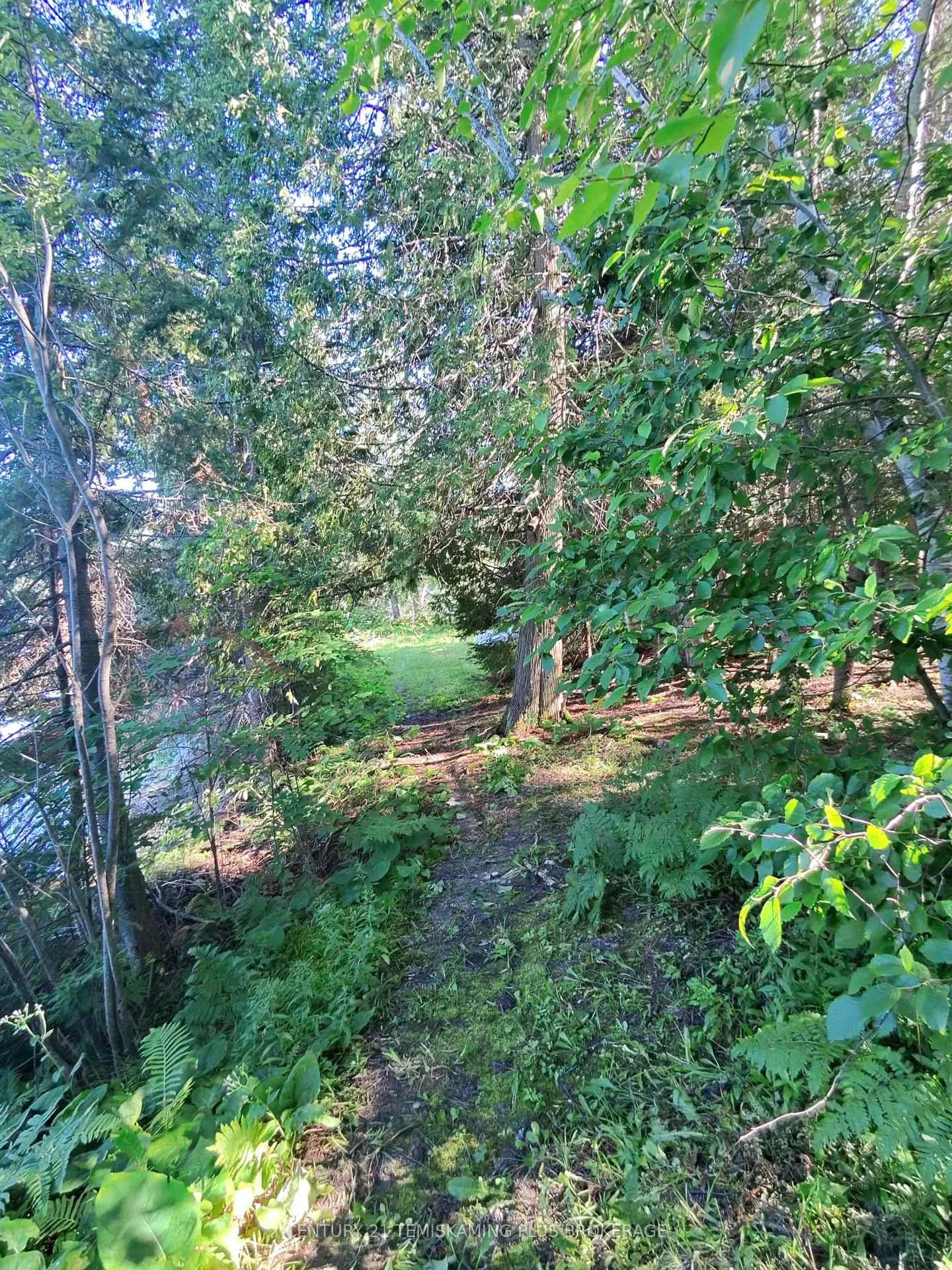 Photo 48 of Con 7 Highway 567, Timiskaming, TIM - Outside - Rural — HOMEH