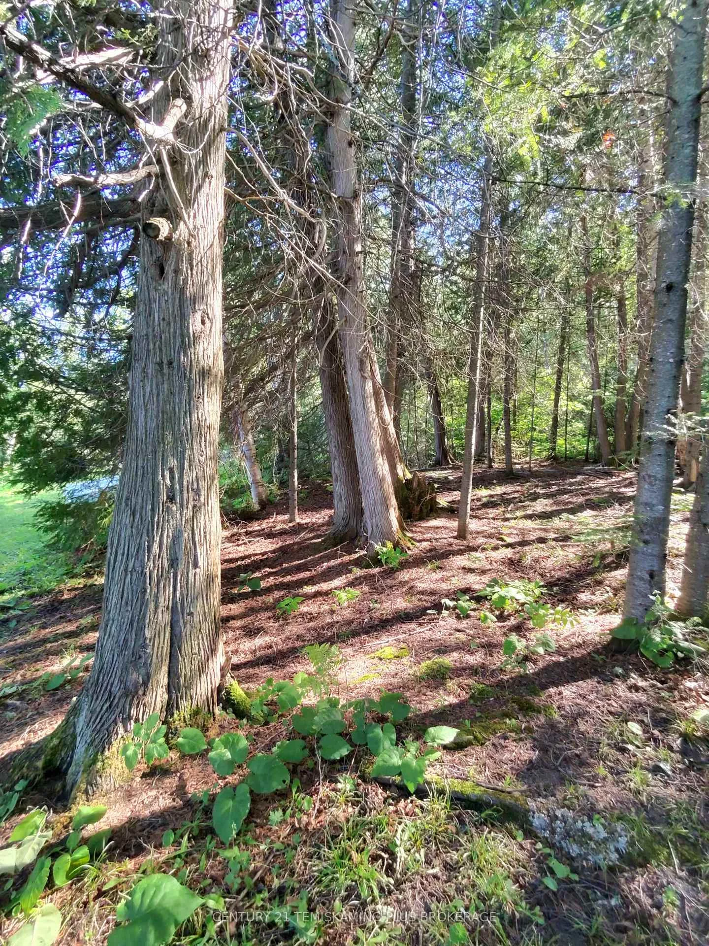 Photo 51 of Con 7 Highway 567, Timiskaming, TIM - Outside - Rural — HOMEH