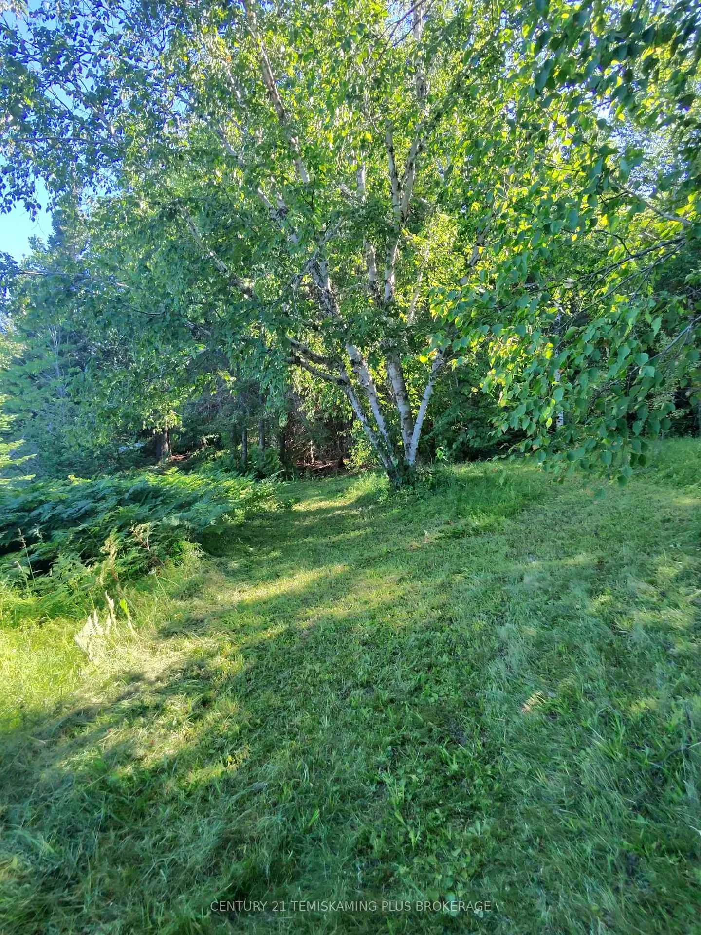 Photo 65 of Con 7 Highway 567, Timiskaming, TIM - Outside - Rural — HOMEH