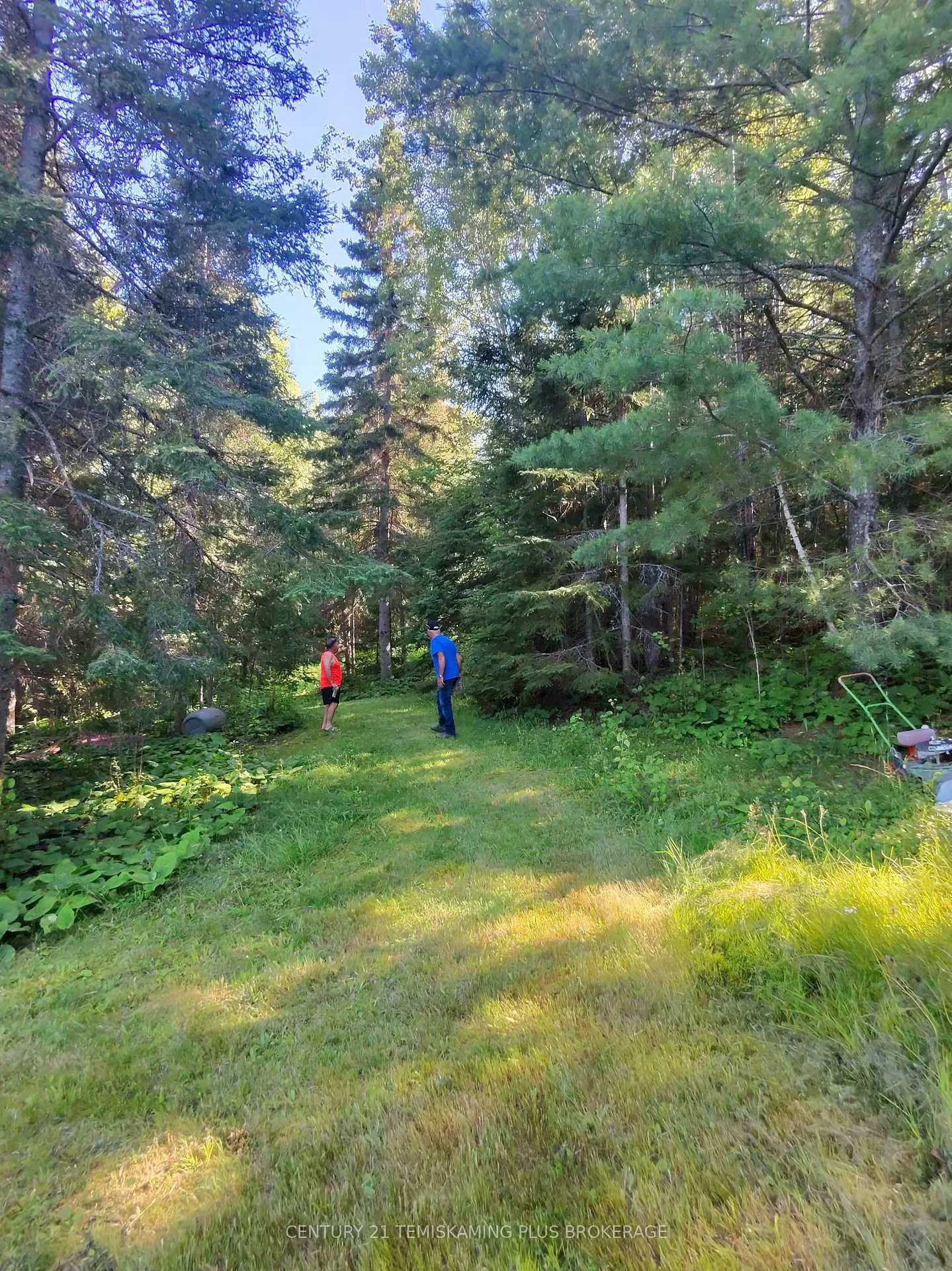 Photo 71 of Con 7 Highway 567, Timiskaming, TIM - Outside - Rural — HOMEH