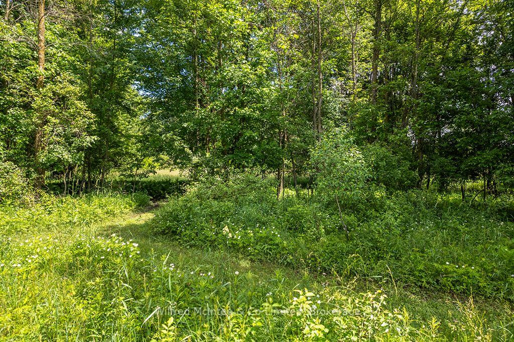 Photo 11 of PT LT 27 Concession 16 Road, West Grey — HOMEH