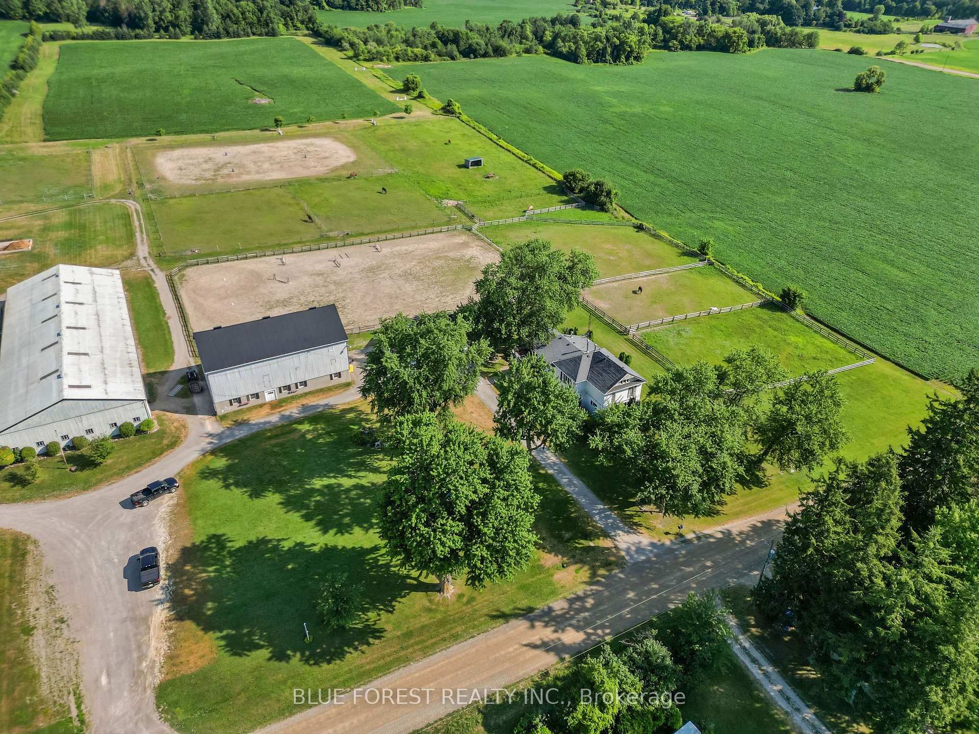Photo of 12798 Eight Mile Road