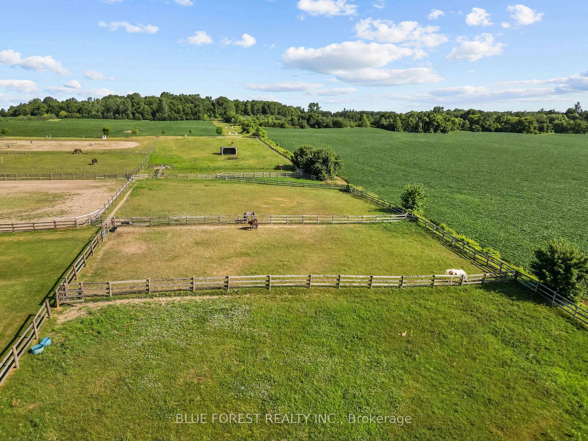 Photo 35 of 12798 Eight Mile Road, Middlesex Centre, Arva — HOMEH