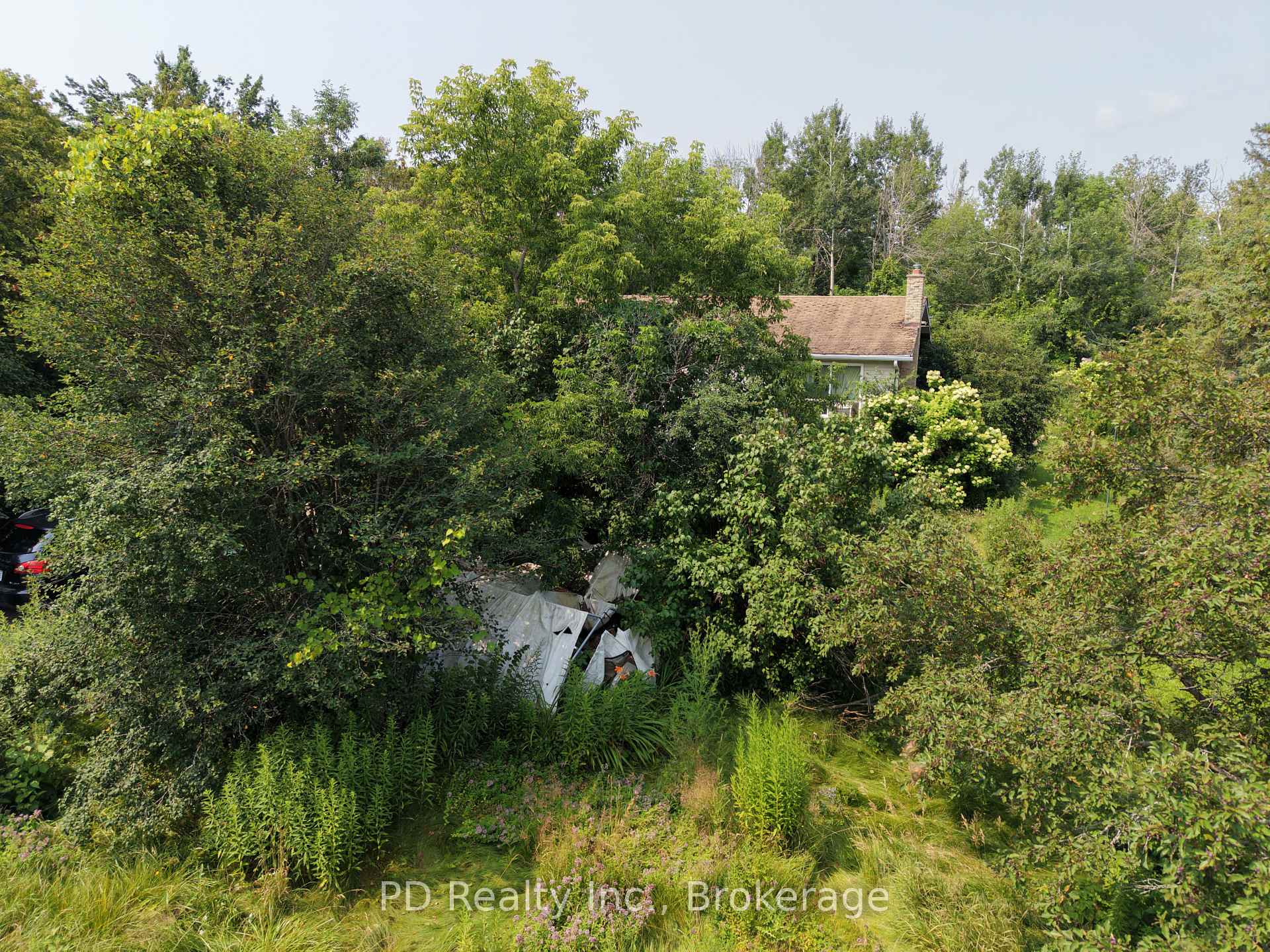 Photo 8 of 373 Mount Nebo Road, Kawartha Lakes, Emily — HOMEH