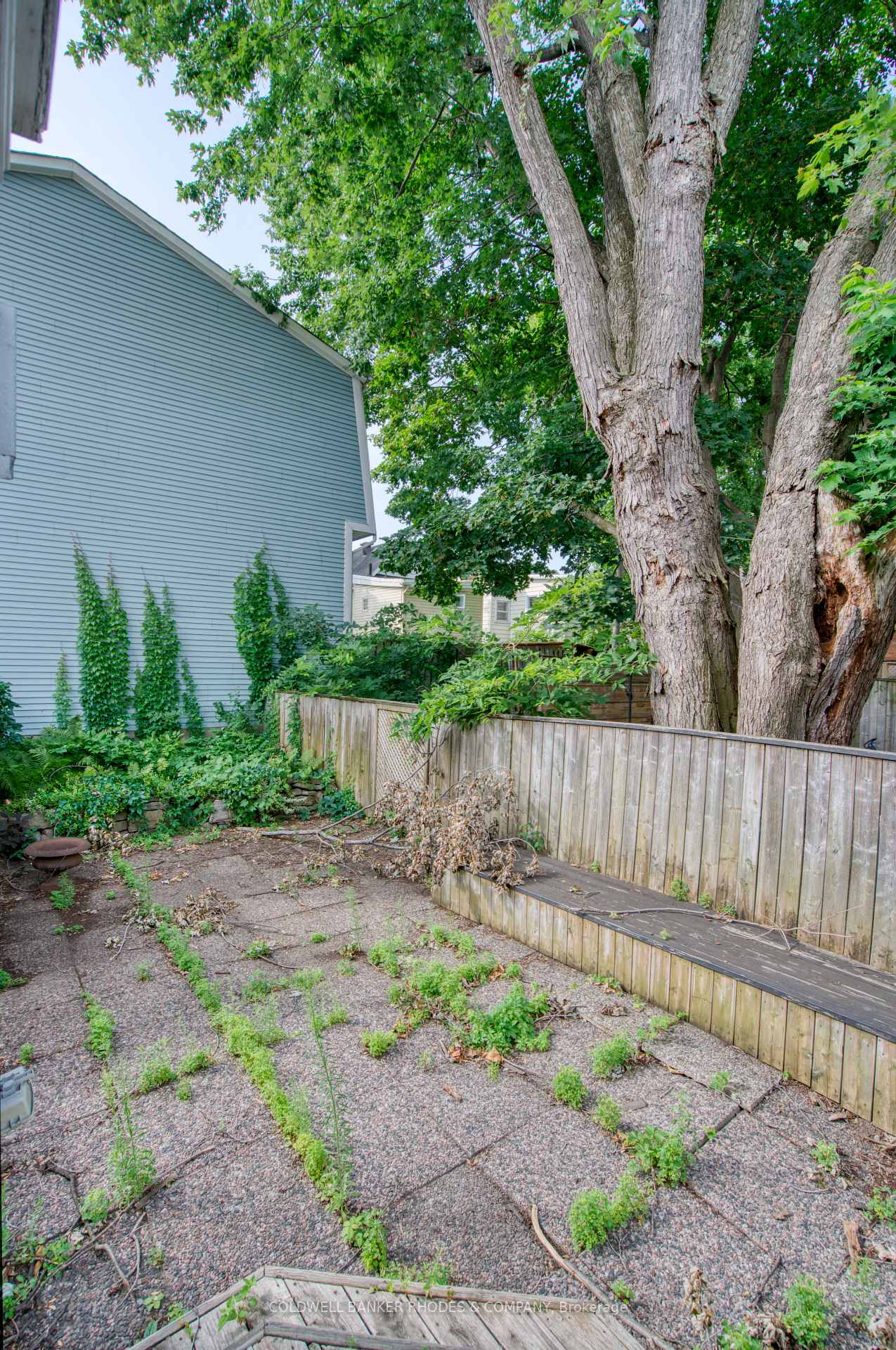 Photo 18 of 300 St Andrew Street, Ottawa, Lower Town — HOMEH