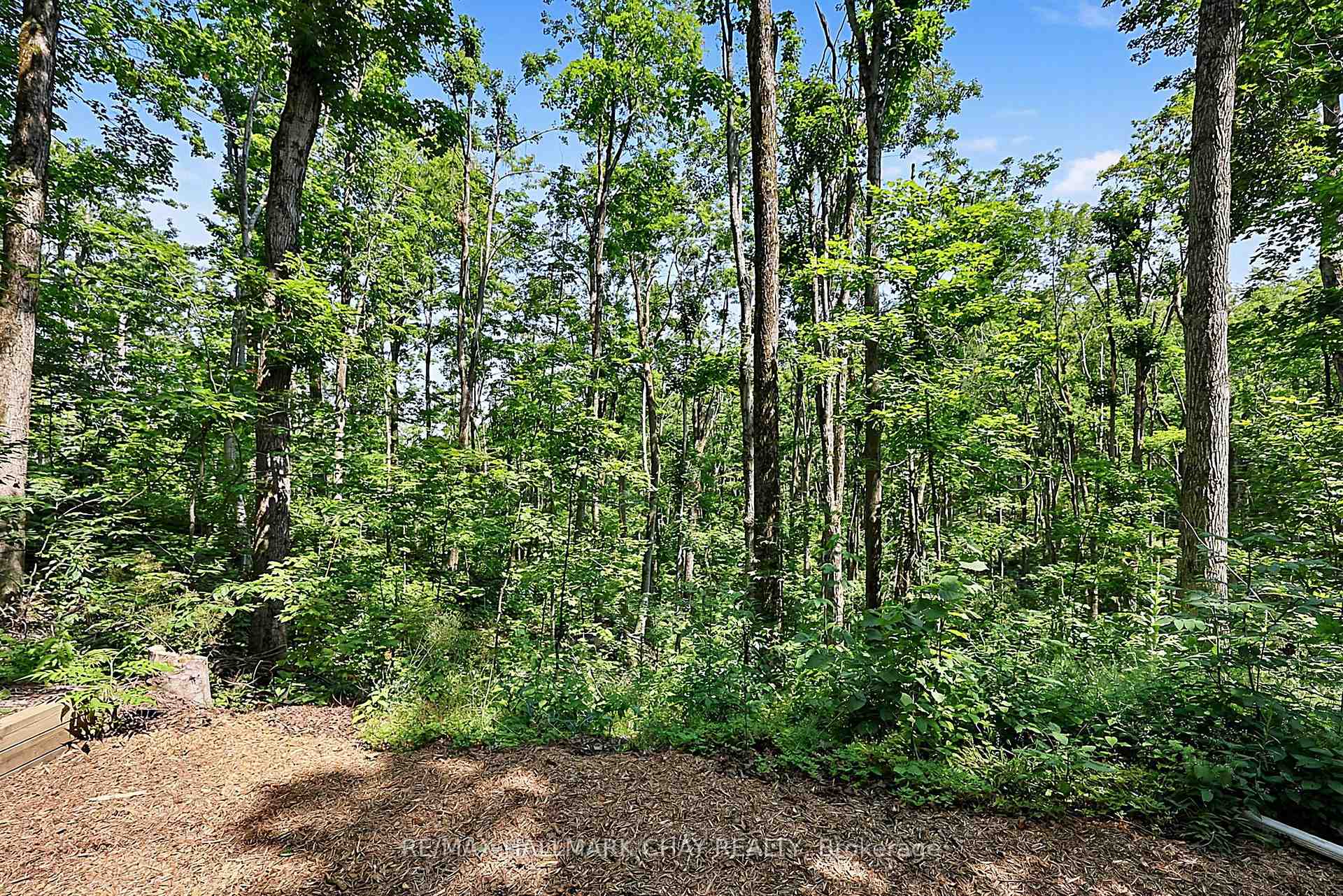Photo 41 of 88 Huronwoods Drive, Oro-Medonte, Sugarbush — HOMEH