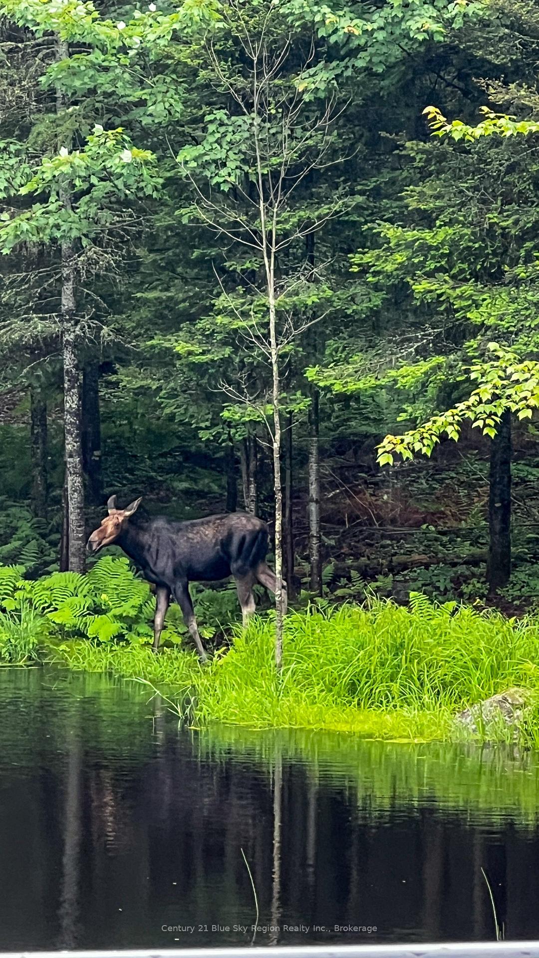 Photo 45 of 695 Weiler Line, Powassan — HOMEH