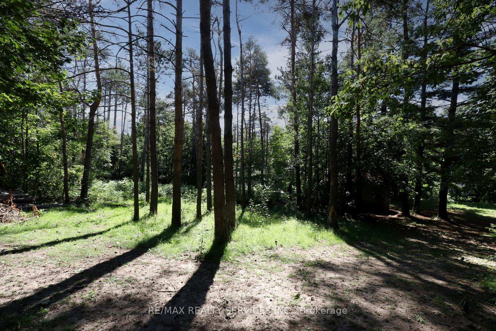 Photo 40 of 8570 Hwy 12, Oro-Medonte, Rural Oro-Medonte — HOMEH