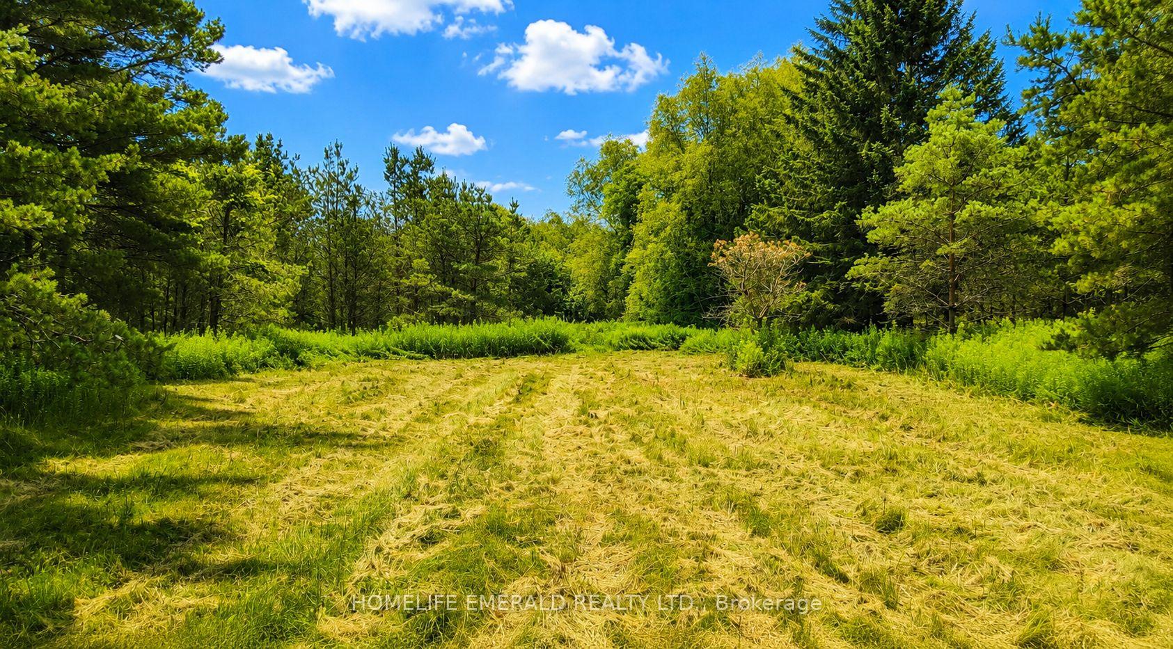 Photo 5 of 4881 Orser Street, Clearview, Brentwood — HOMEH