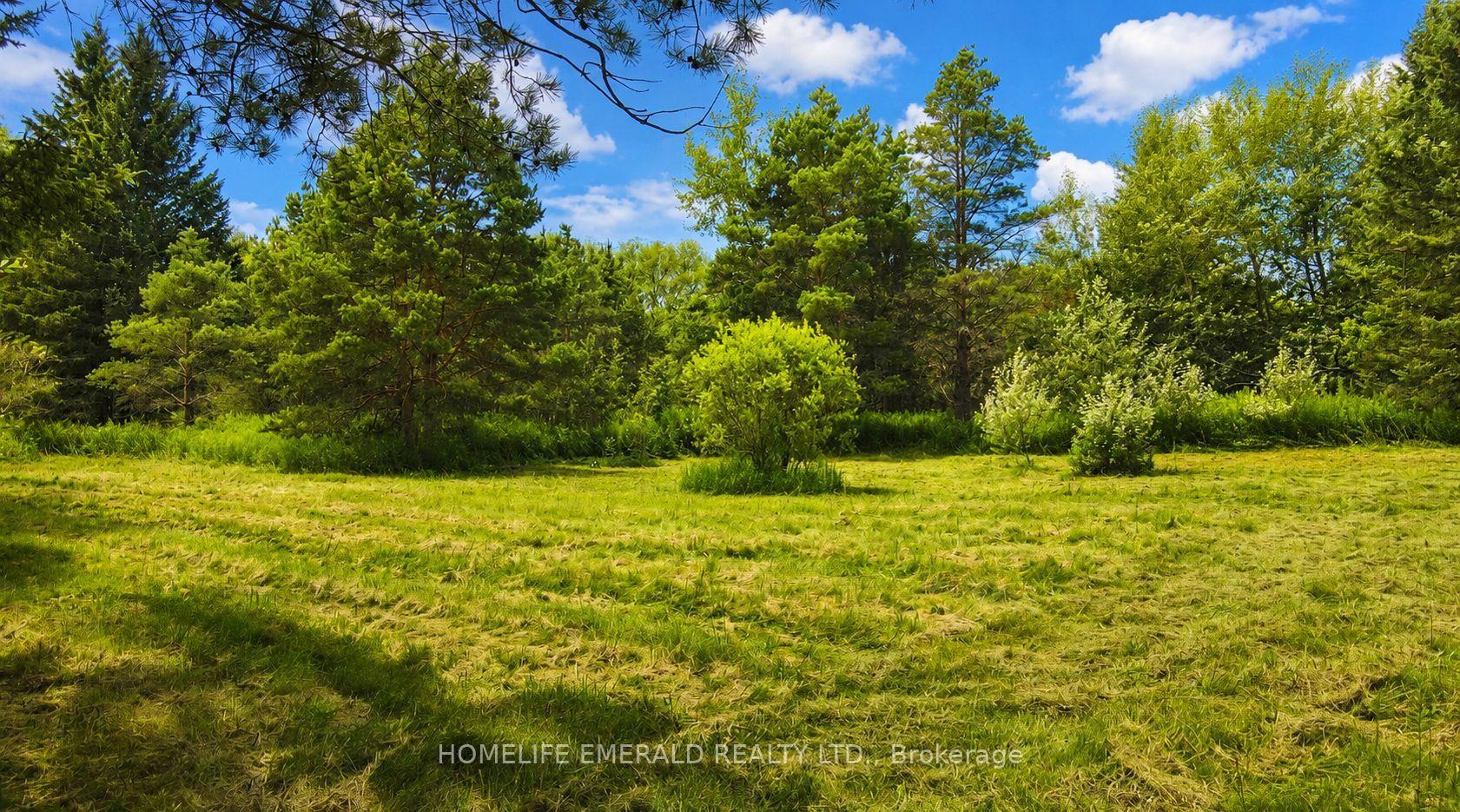Photo 6 of 4881 Orser Street, Clearview, Brentwood — HOMEH