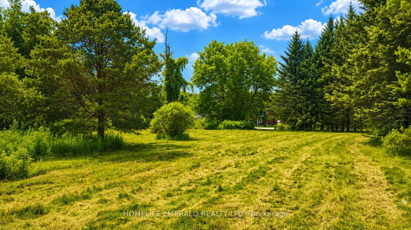 Photo 7 of 4881 Orser Street, Clearview, Brentwood — HOMEH