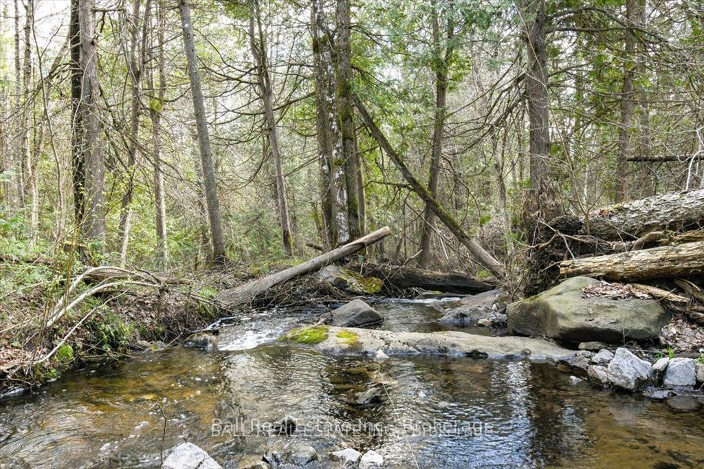 Photo 4 of Clydesdale Road, North Kawartha — HOMEH