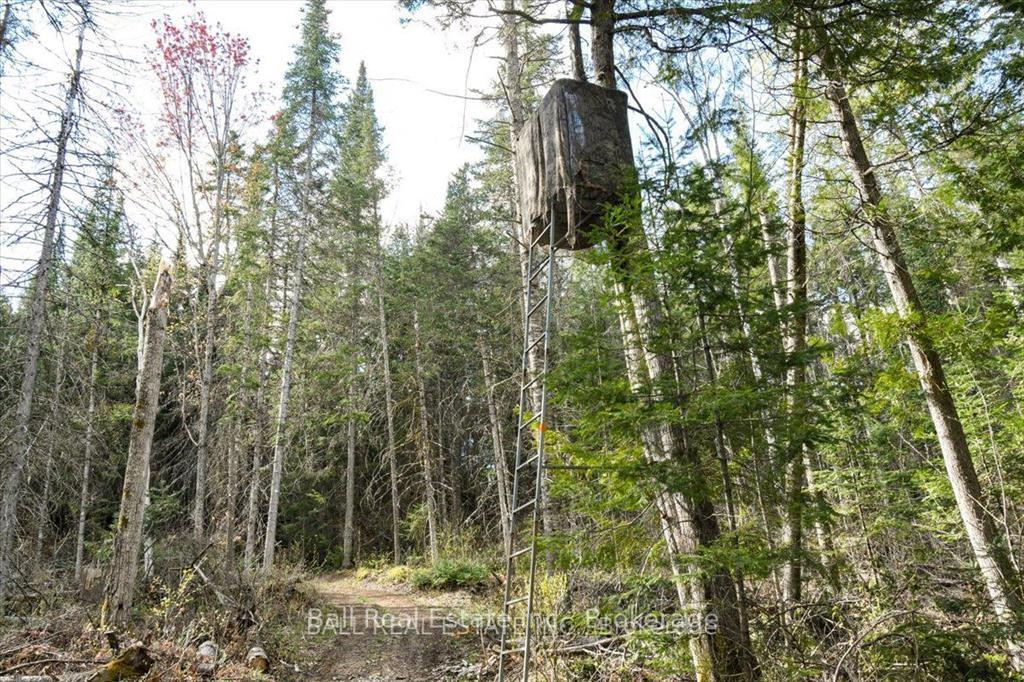 Photo 13 of Clydesdale Road, North Kawartha — HOMEH