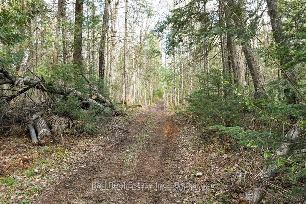 Photo 19 of Clydesdale Road, North Kawartha — HOMEH