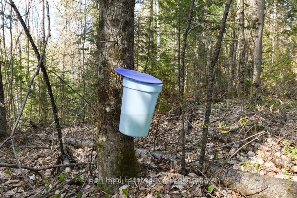 Photo 22 of Clydesdale Road, North Kawartha — HOMEH