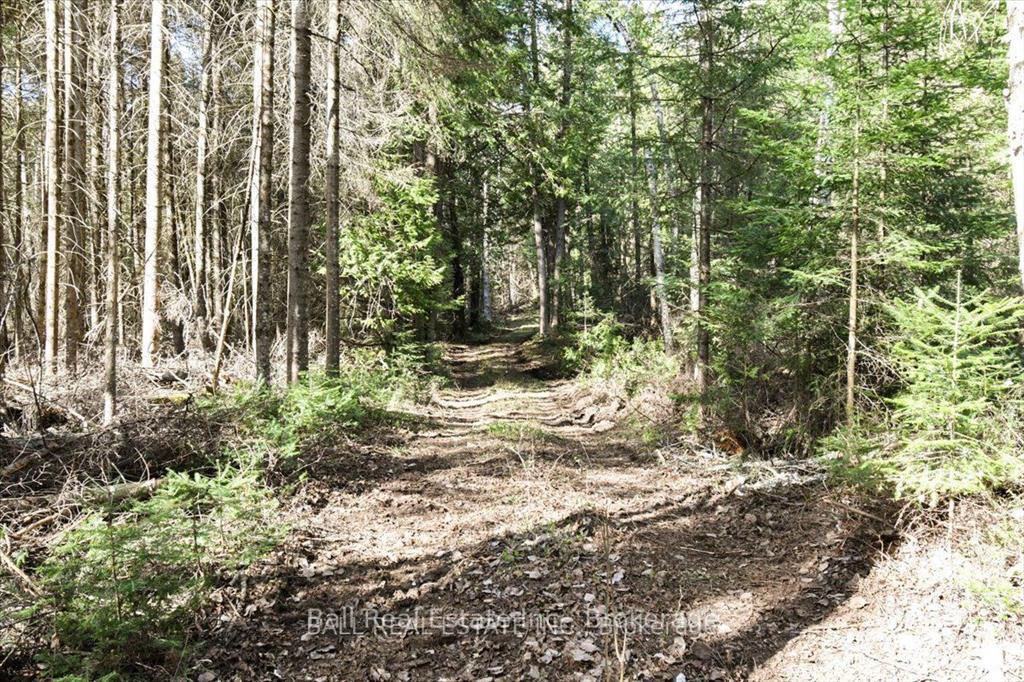 Photo 25 of Clydesdale Road, North Kawartha — HOMEH