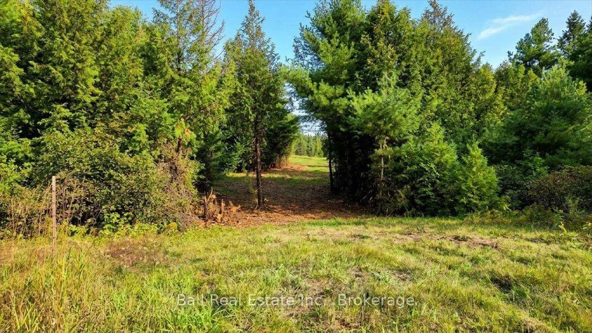 Photo 9 of Clydesdale Road, North Kawartha — HOMEH