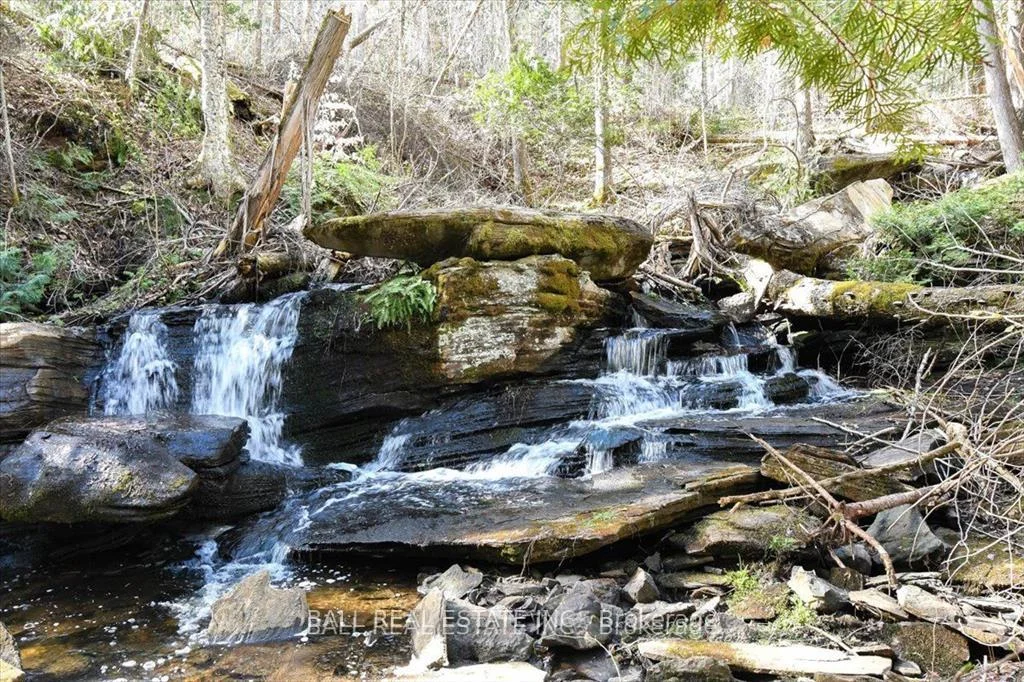 Photo 17 of Clydesdale Road, North Kawartha — HOMEH