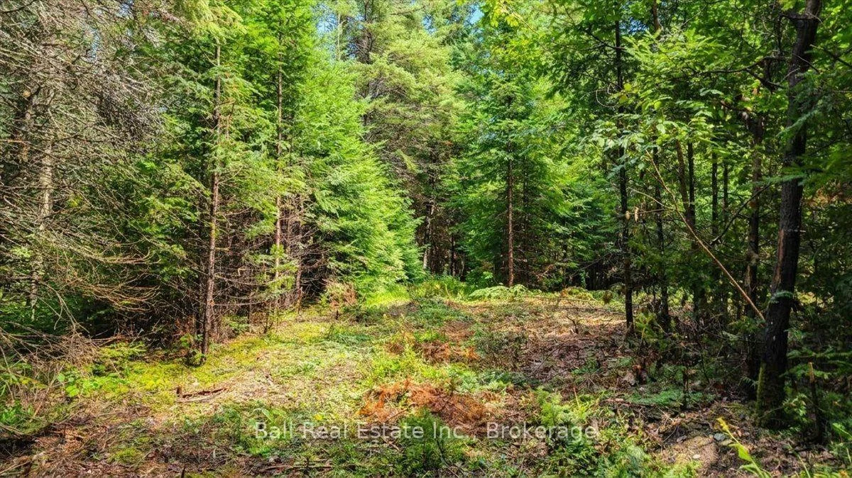 Photo 21 of Clydesdale Road, North Kawartha — HOMEH