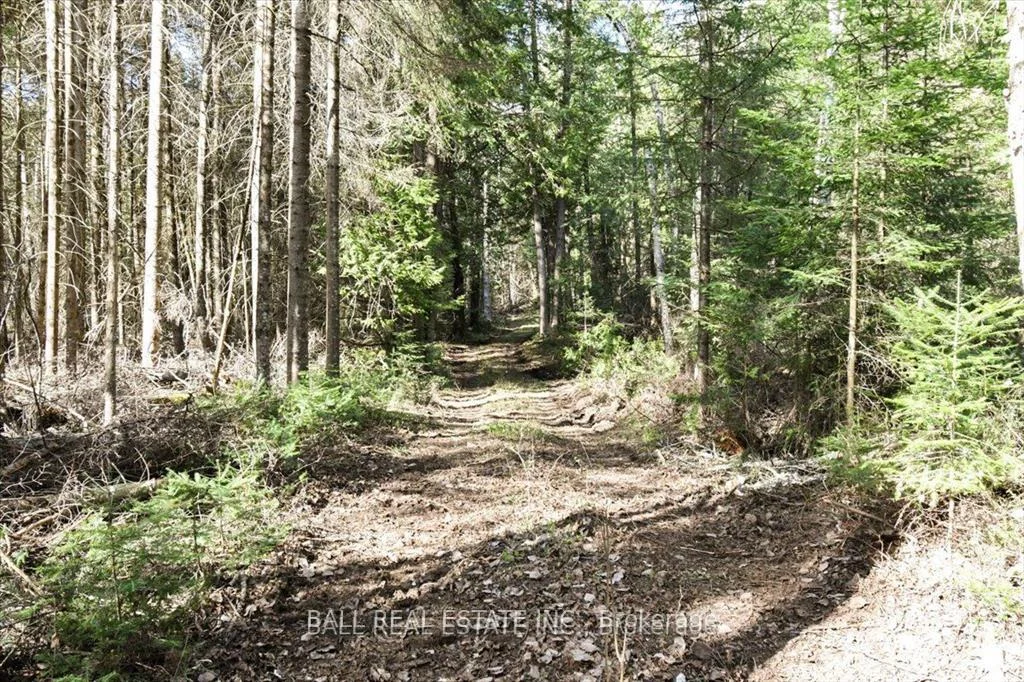 Photo 26 of Clydesdale Road, North Kawartha — HOMEH