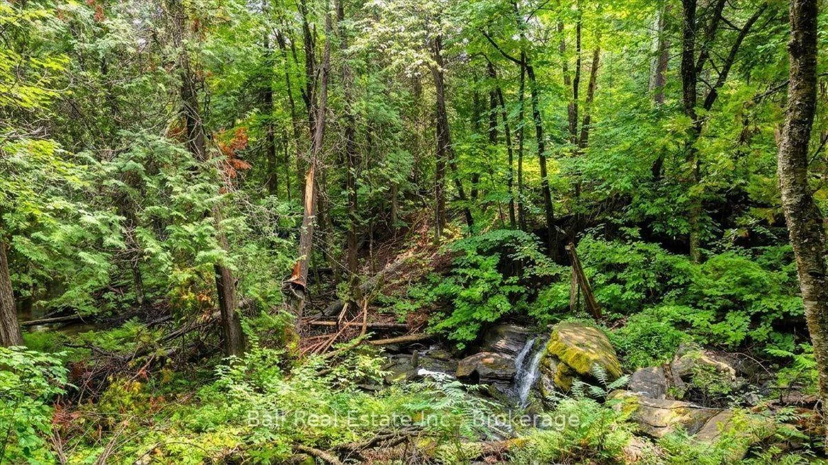 Photo 30 of Clydesdale Road, North Kawartha — HOMEH