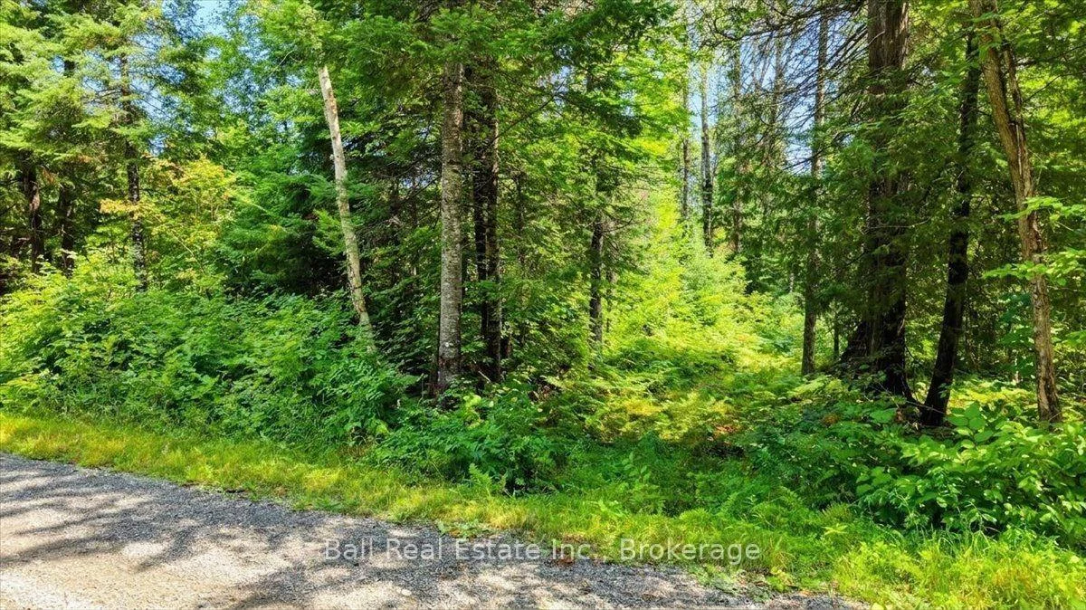 Photo 35 of Clydesdale Road, North Kawartha — HOMEH