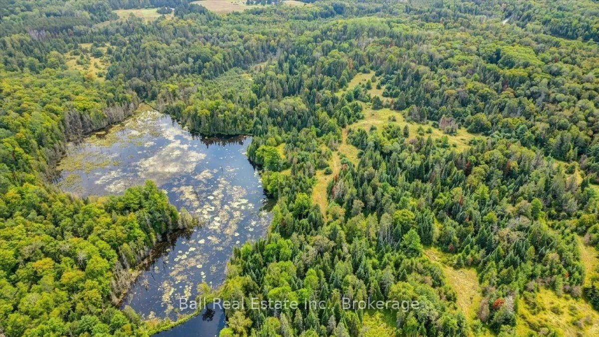 Photo 41 of Clydesdale Road, North Kawartha — HOMEH