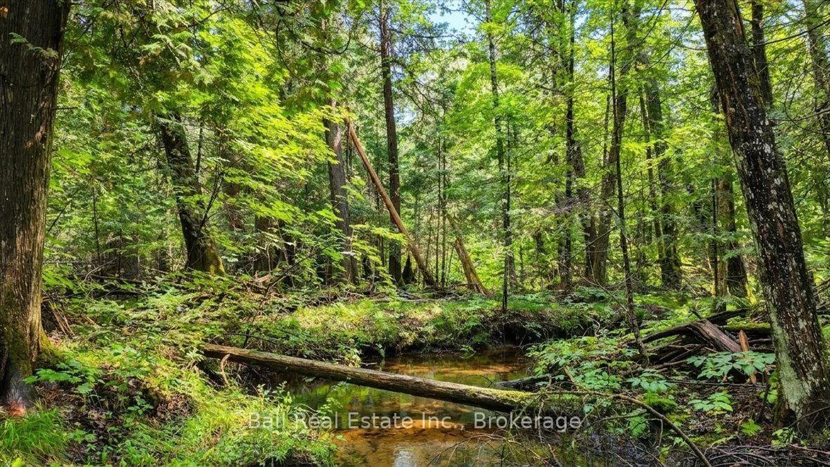 Photo 46 of Clydesdale Road, North Kawartha — HOMEH