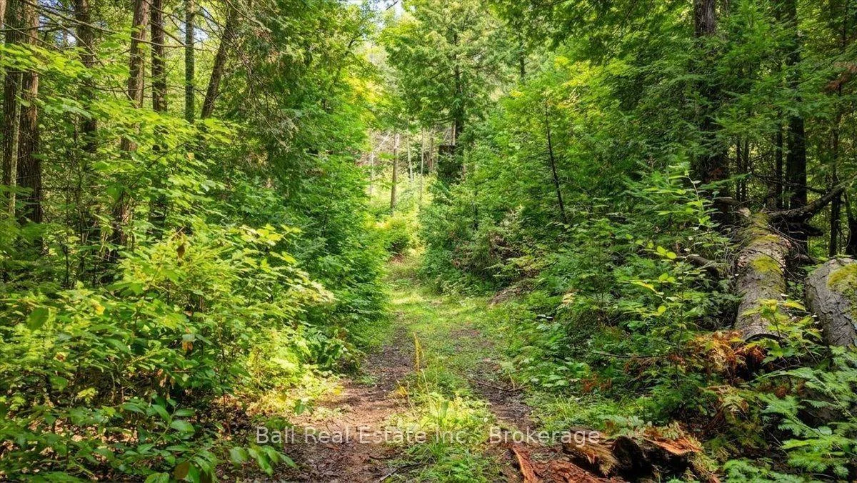 Photo 48 of Clydesdale Road, North Kawartha — HOMEH