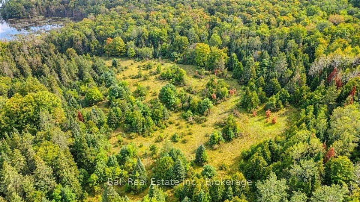 Photo 49 of Clydesdale Road, North Kawartha — HOMEH