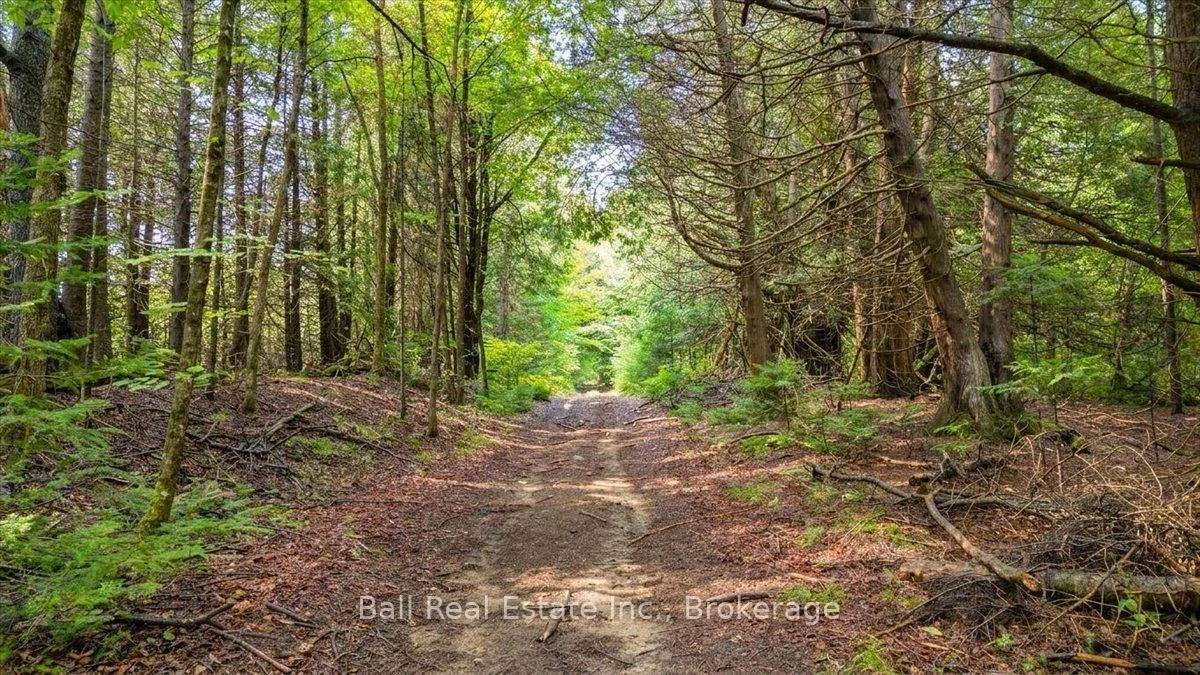 Photo 50 of Clydesdale Road, North Kawartha — HOMEH