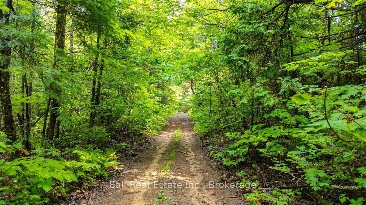 Photo 51 of Clydesdale Road, North Kawartha — HOMEH
