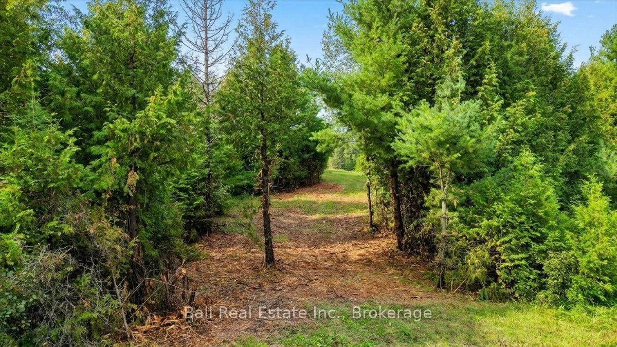 Photo 52 of Clydesdale Road, North Kawartha — HOMEH