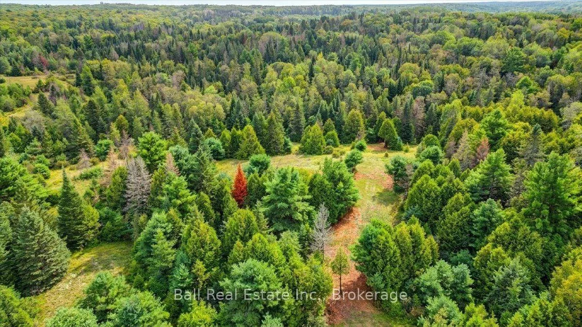 Photo 55 of Clydesdale Road, North Kawartha — HOMEH