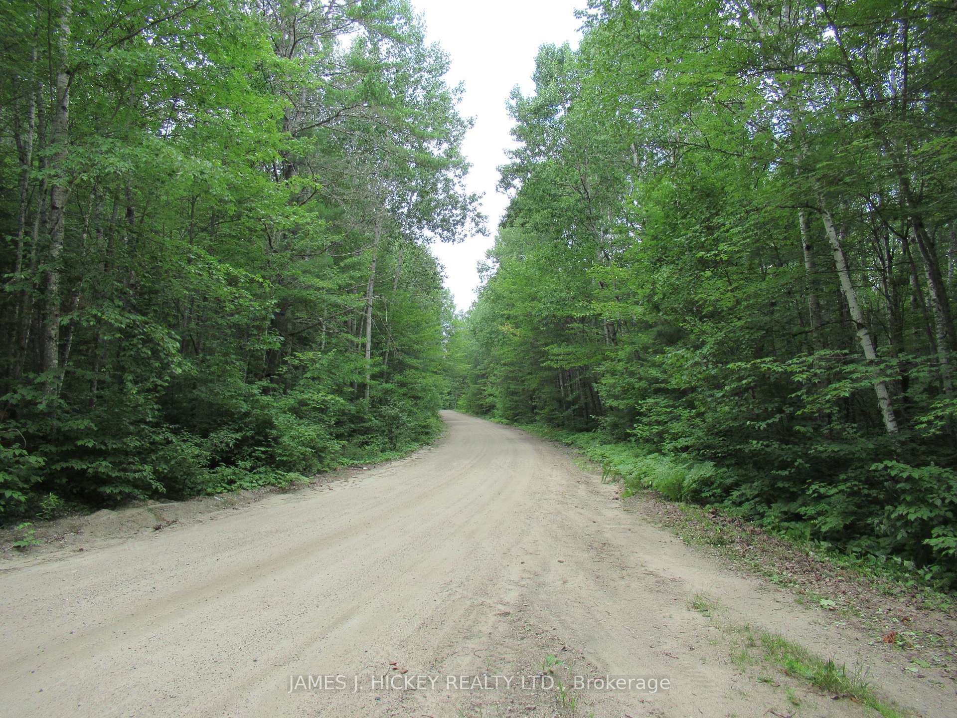 Photo of 601 Mackey Creek Road