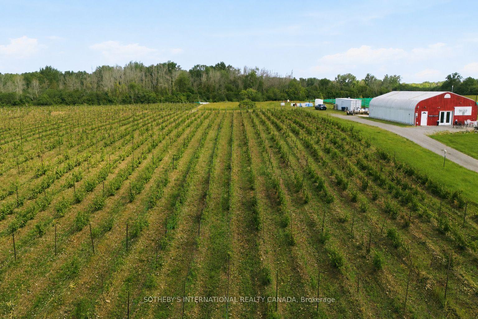 Photo 15 of 562 Danforth Road E, Prince Edward County, Hillier — HOMEH
