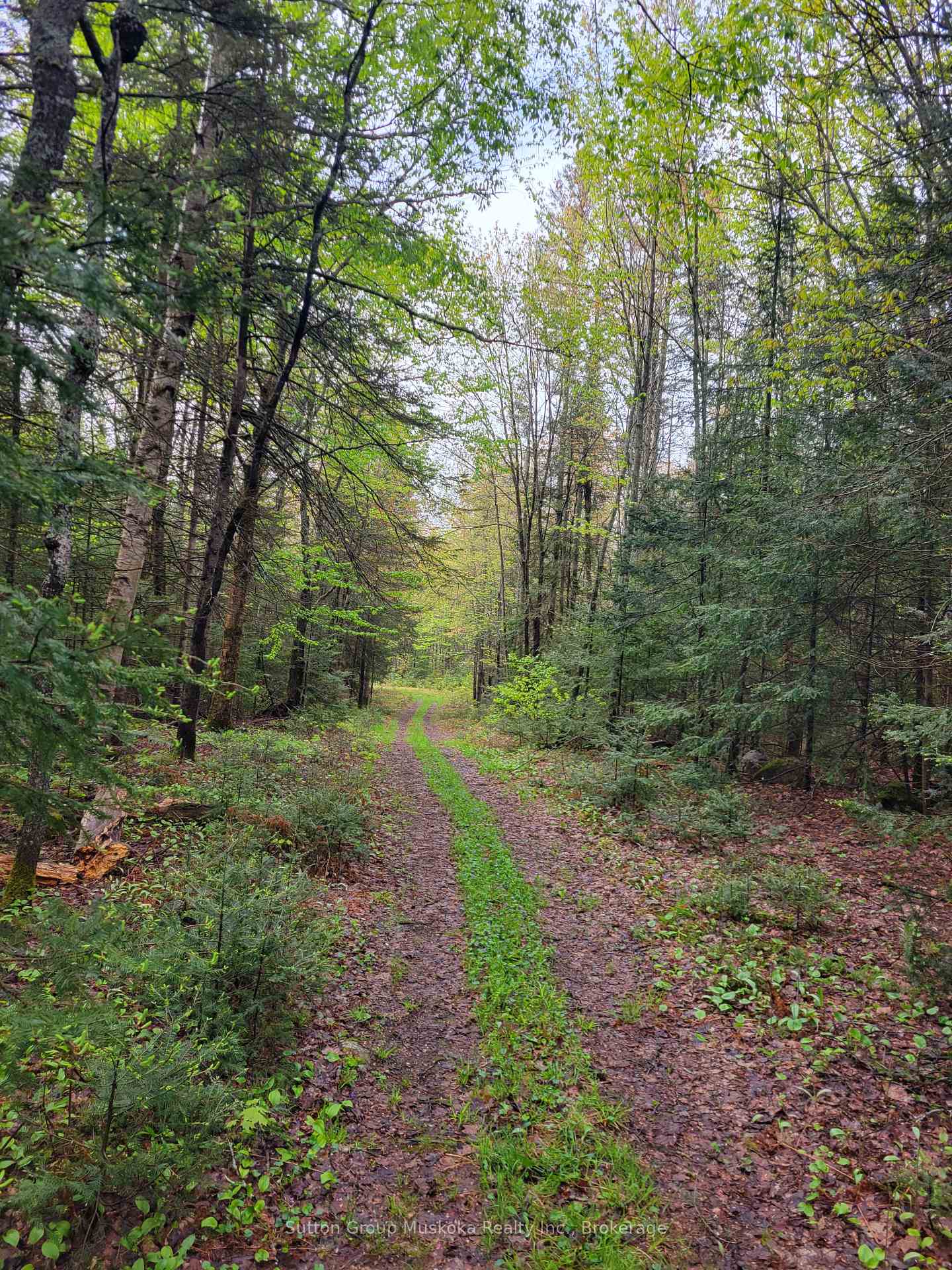Photo 6 of 1765 Machar Strong Boundary Road, Strong — HOMEH