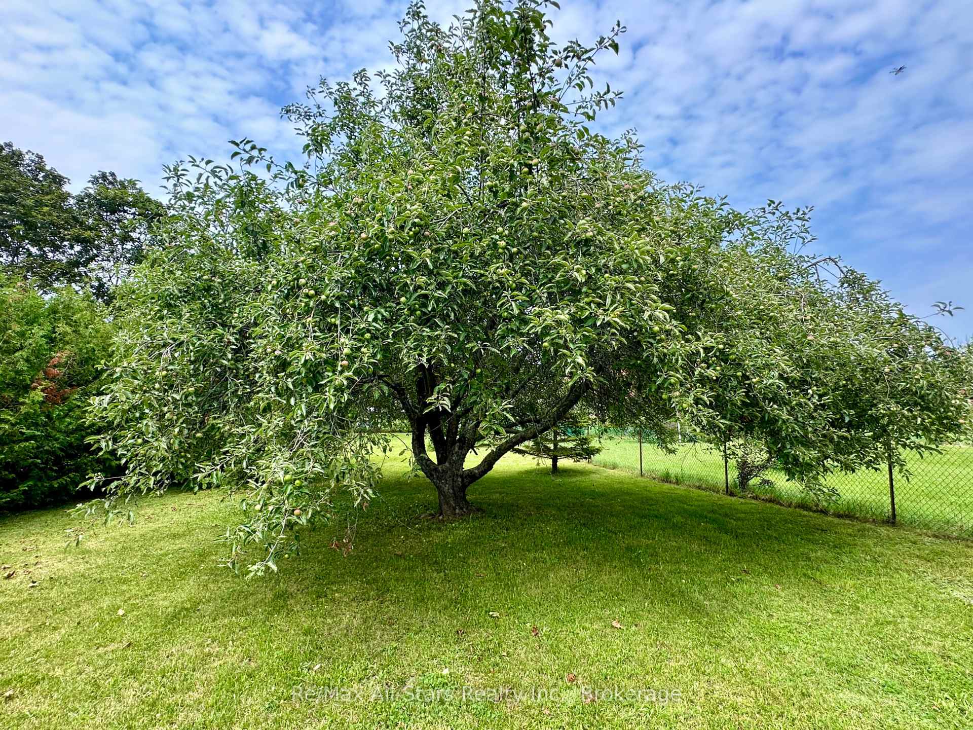 Photo 30 of 59 Jane Street, Kawartha Lakes, Bobcaygeon — HOMEH