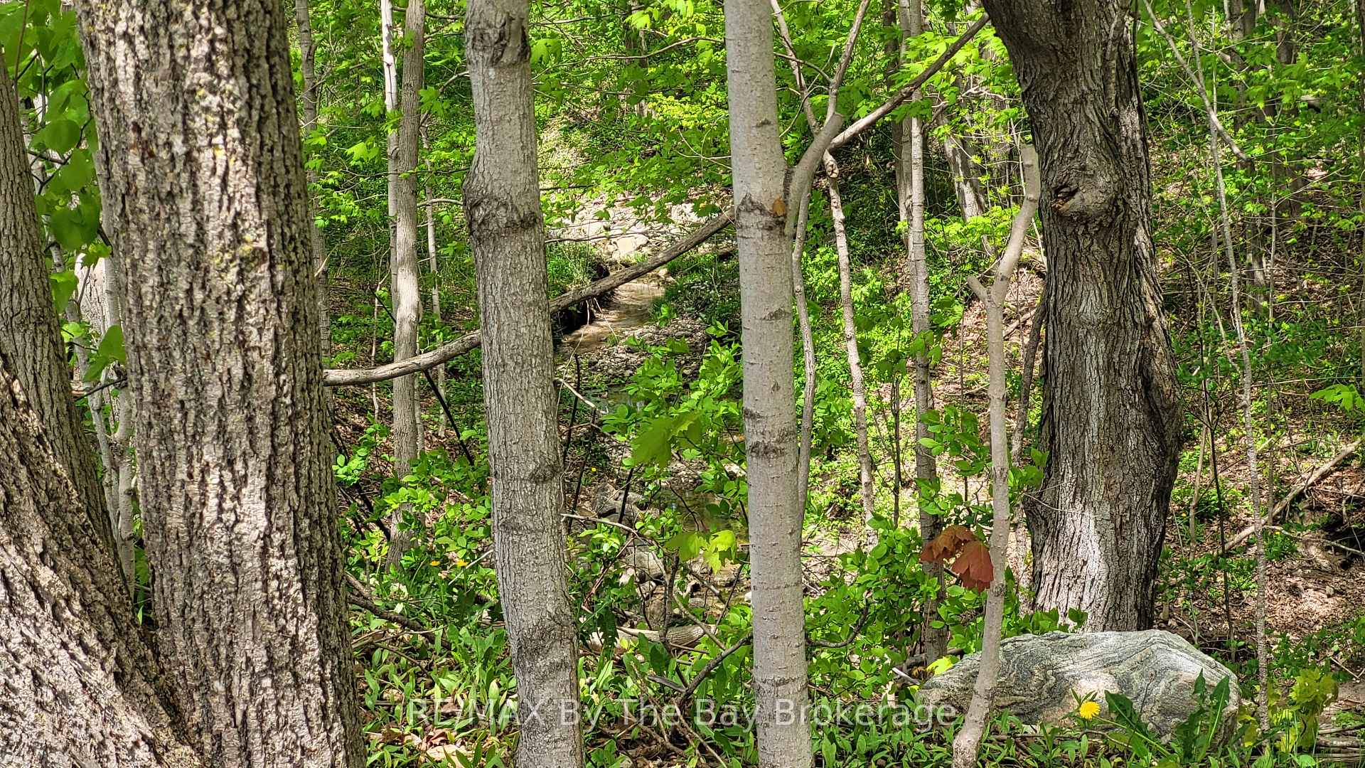 Photo 33 of 16 Walnut Drive, Wasaga Beach — HOMEH