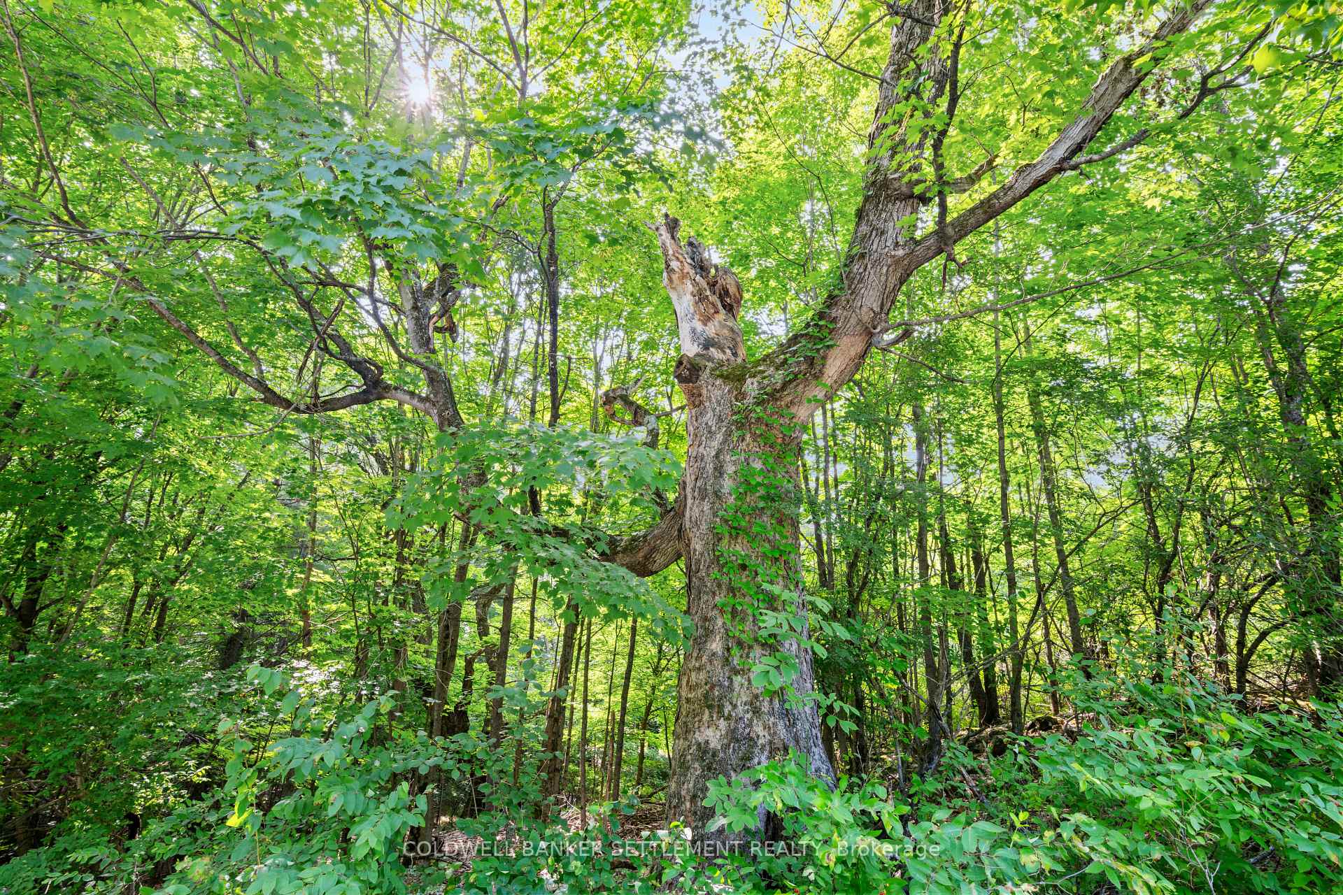 Photo 12 of Lot 30 Thompson Drive, Drummond/North Elmsley, Drummond/North Elmsley (North Elmsley) Twp — HOMEH