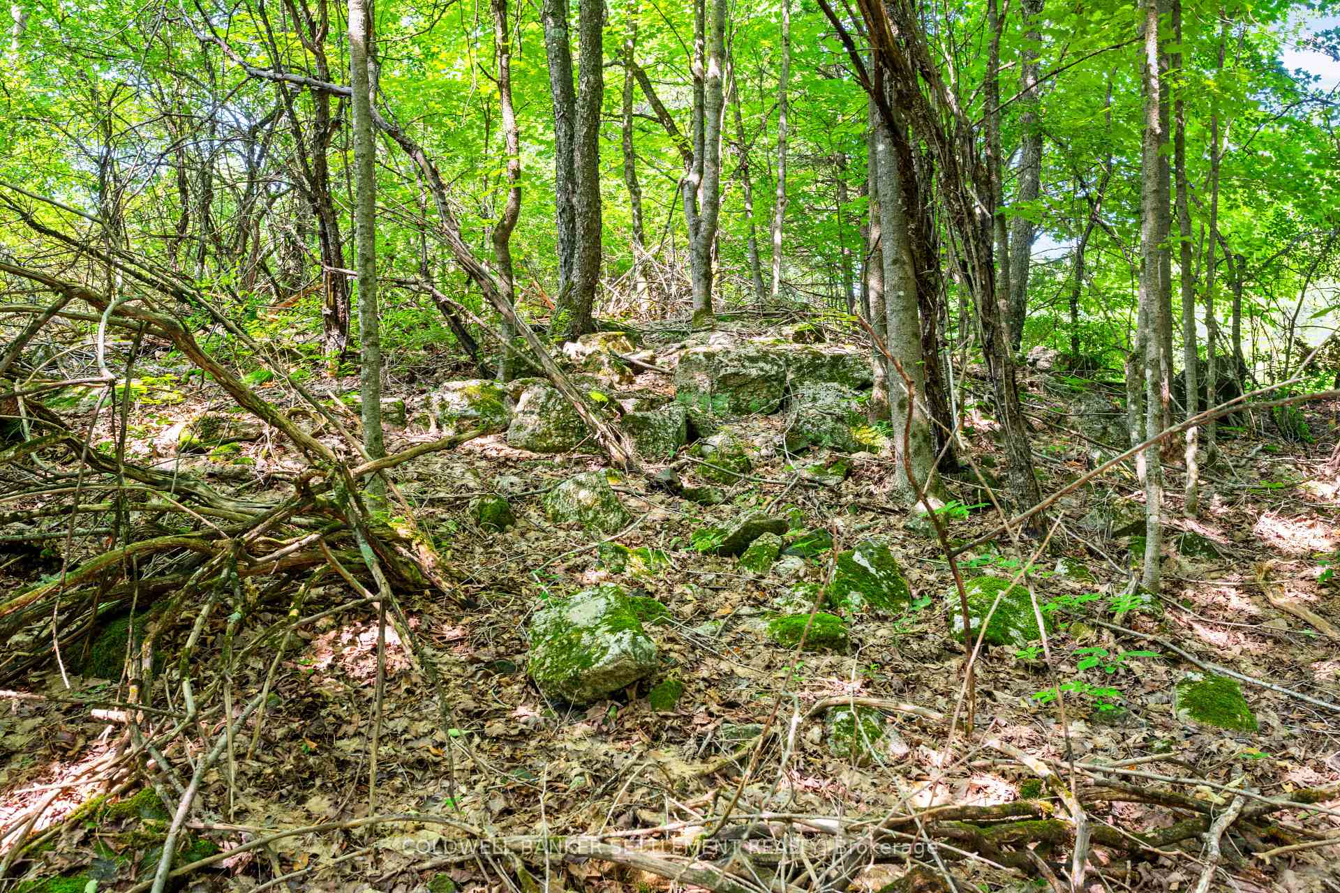 Photo 16 of Lot 30 Thompson Drive, Drummond/North Elmsley, Drummond/North Elmsley (North Elmsley) Twp — HOMEH