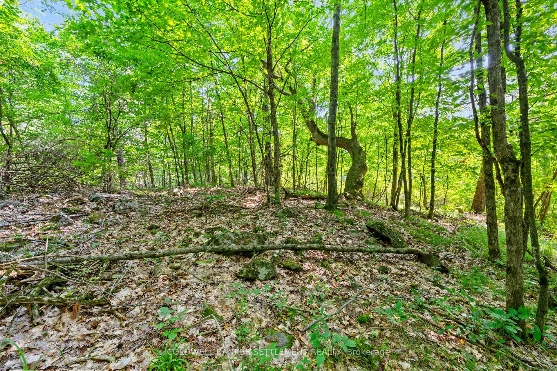 Photo 20 of Lot 30 Thompson Drive, Drummond/North Elmsley, Drummond/North Elmsley (North Elmsley) Twp — HOMEH