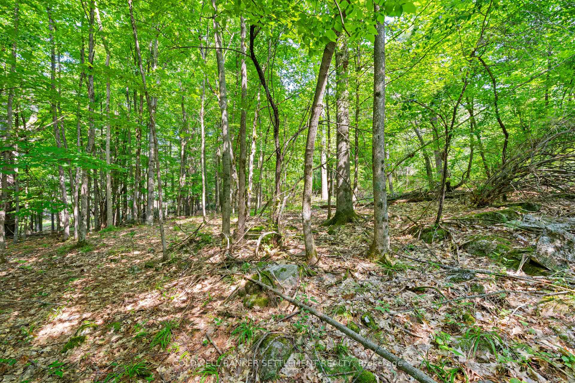 Photo 21 of Lot 30 Thompson Drive, Drummond/North Elmsley, Drummond/North Elmsley (North Elmsley) Twp — HOMEH
