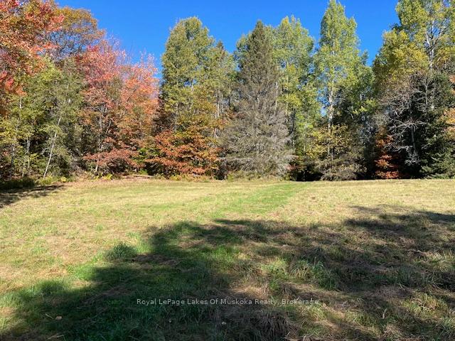 Photo 31 of 96 520 Highway W, Burk's Falls — HOMEH