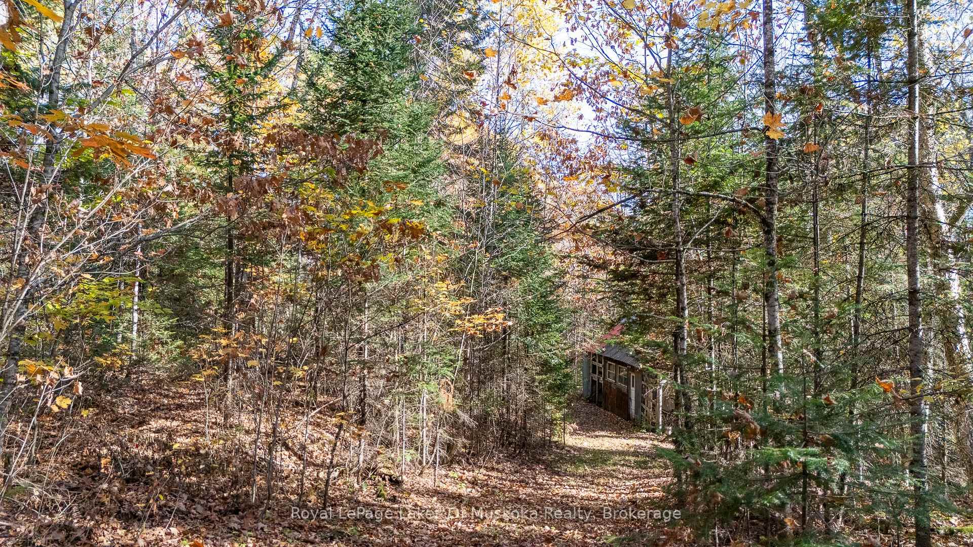 Photo 32 of 96 520 Highway W, Burk's Falls — HOMEH