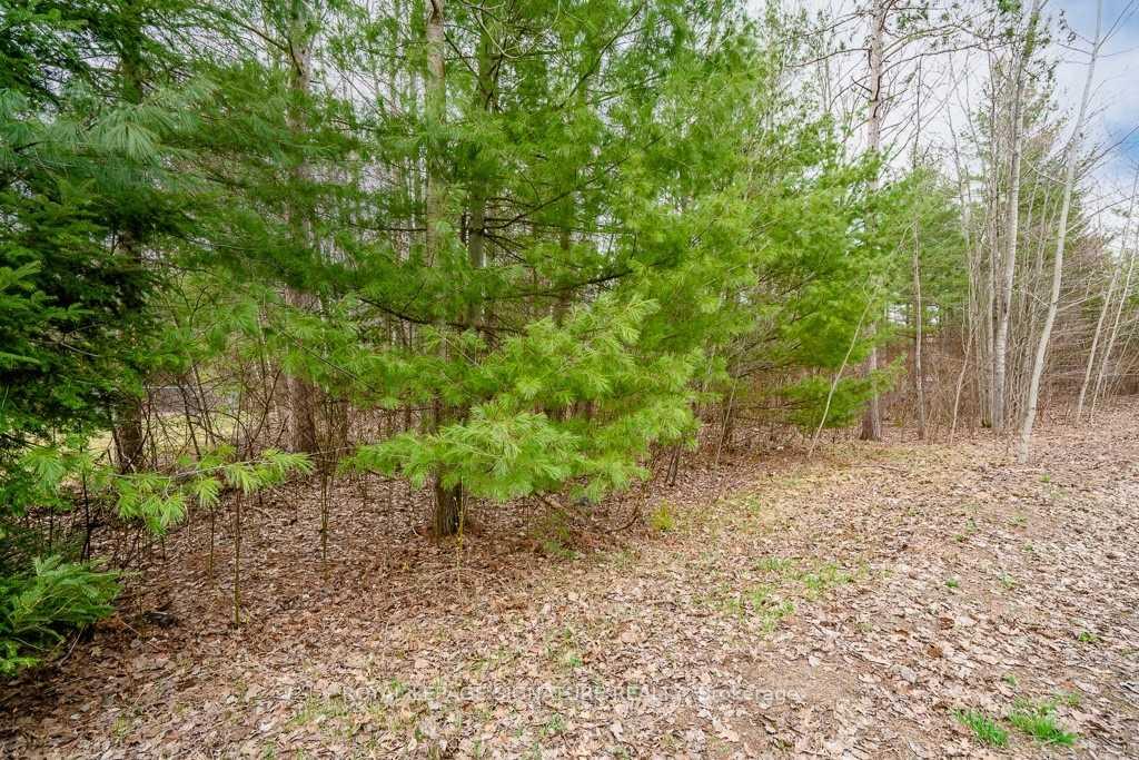 Photo 7 of 4 Nida Crescent, Wasaga Beach — HOMEH