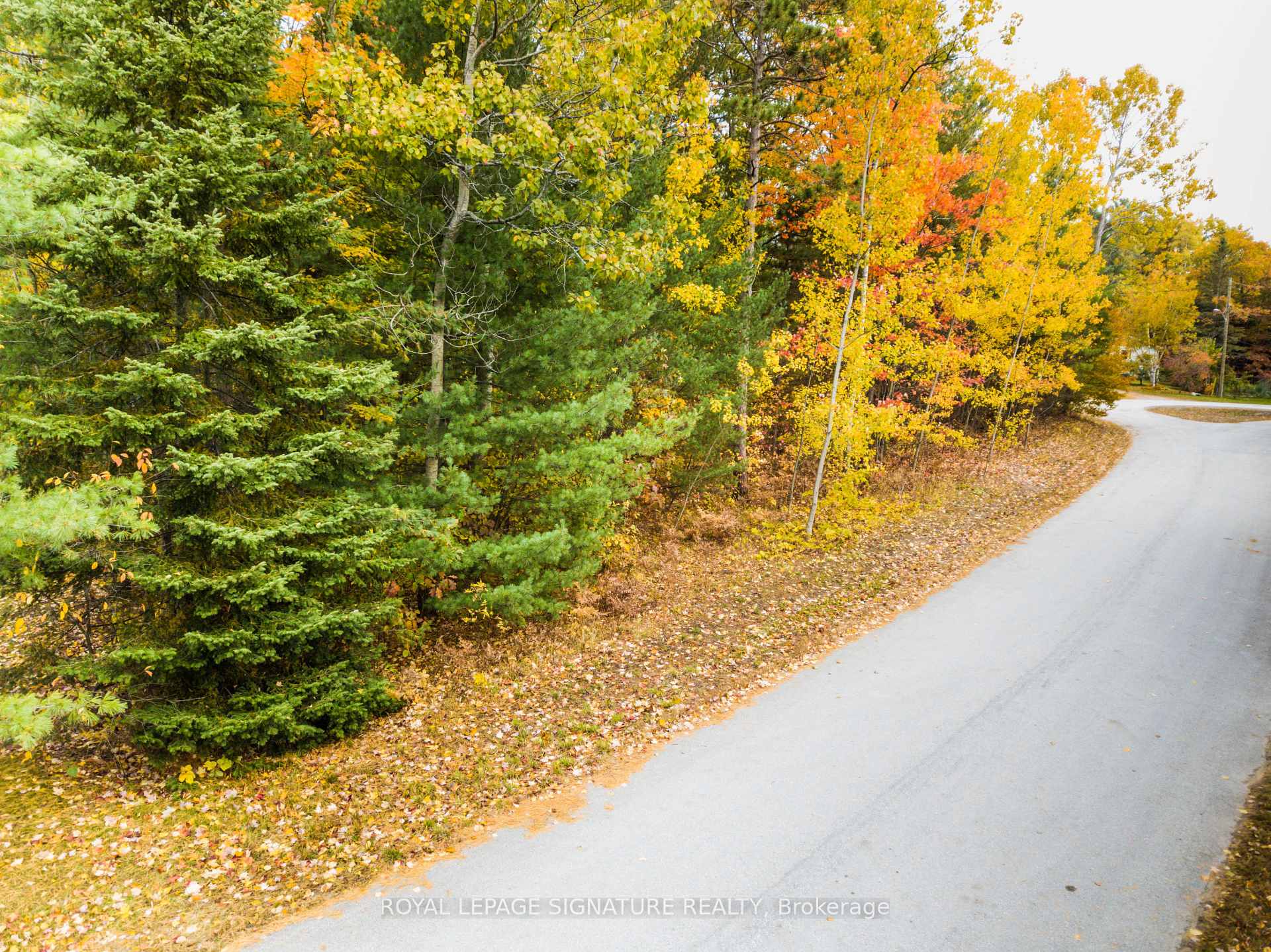 Photo 9 of 4 Nida Crescent, Wasaga Beach — HOMEH