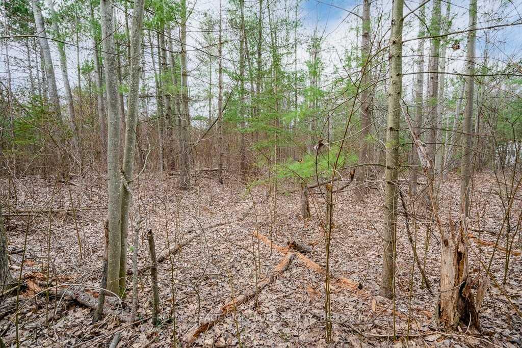 Photo 12 of 4 Nida Crescent, Wasaga Beach — HOMEH