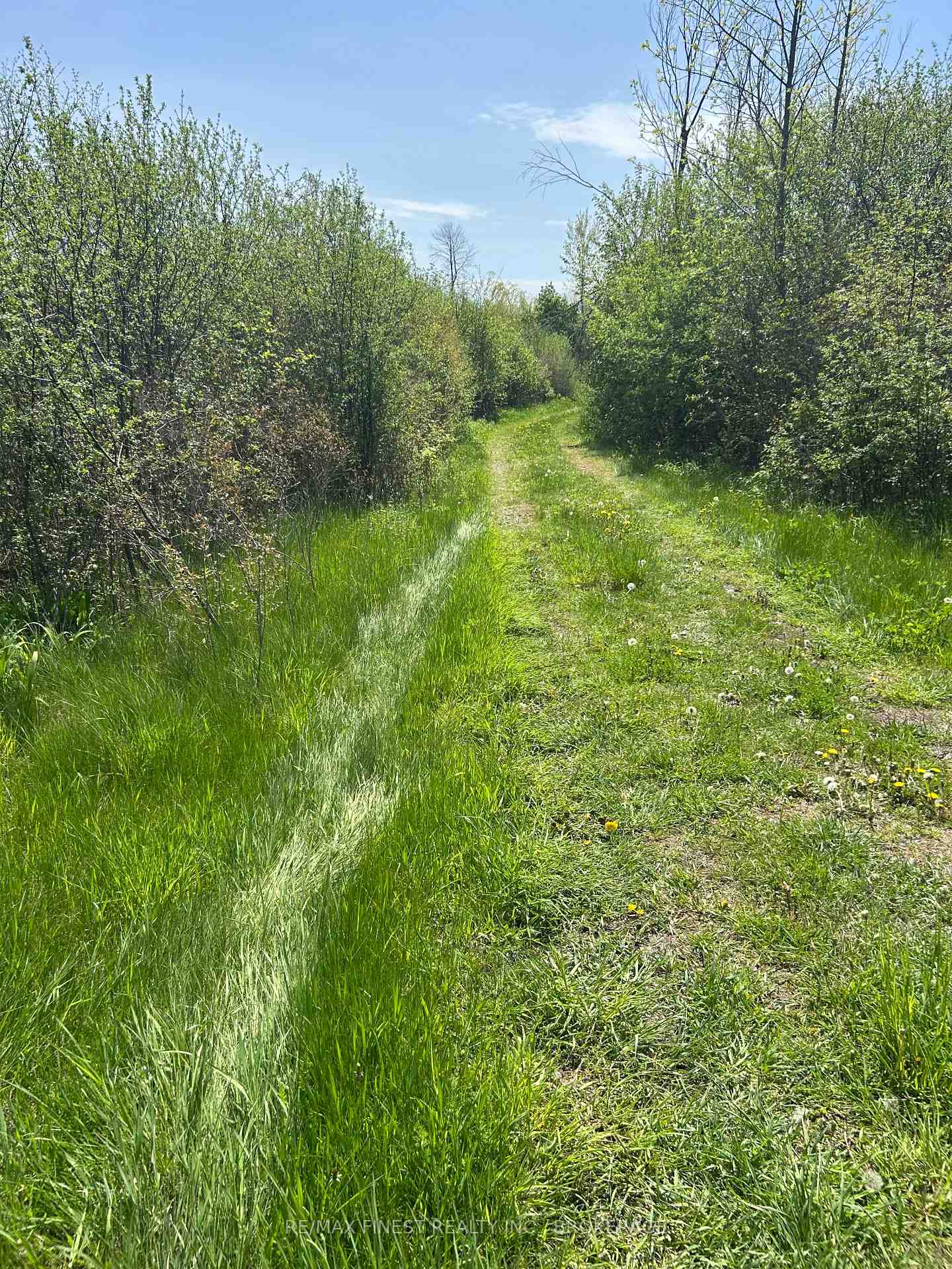 Photo 2 of Lot 75-81 Plan 65 Cross Street, Frontenac, Frontenac Centre — HOMEH
